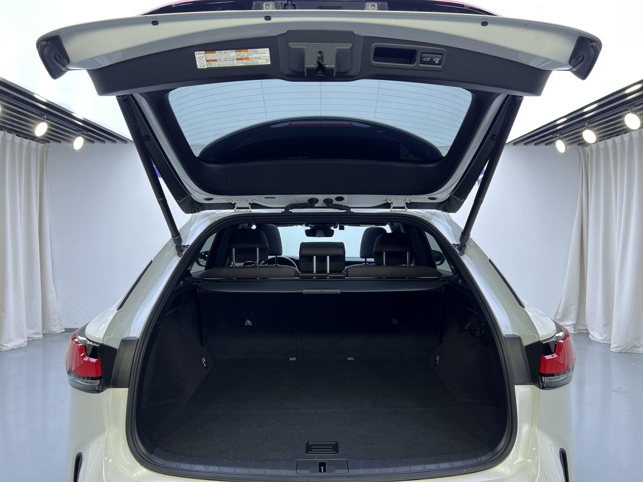 Lexus RX 350h 2023