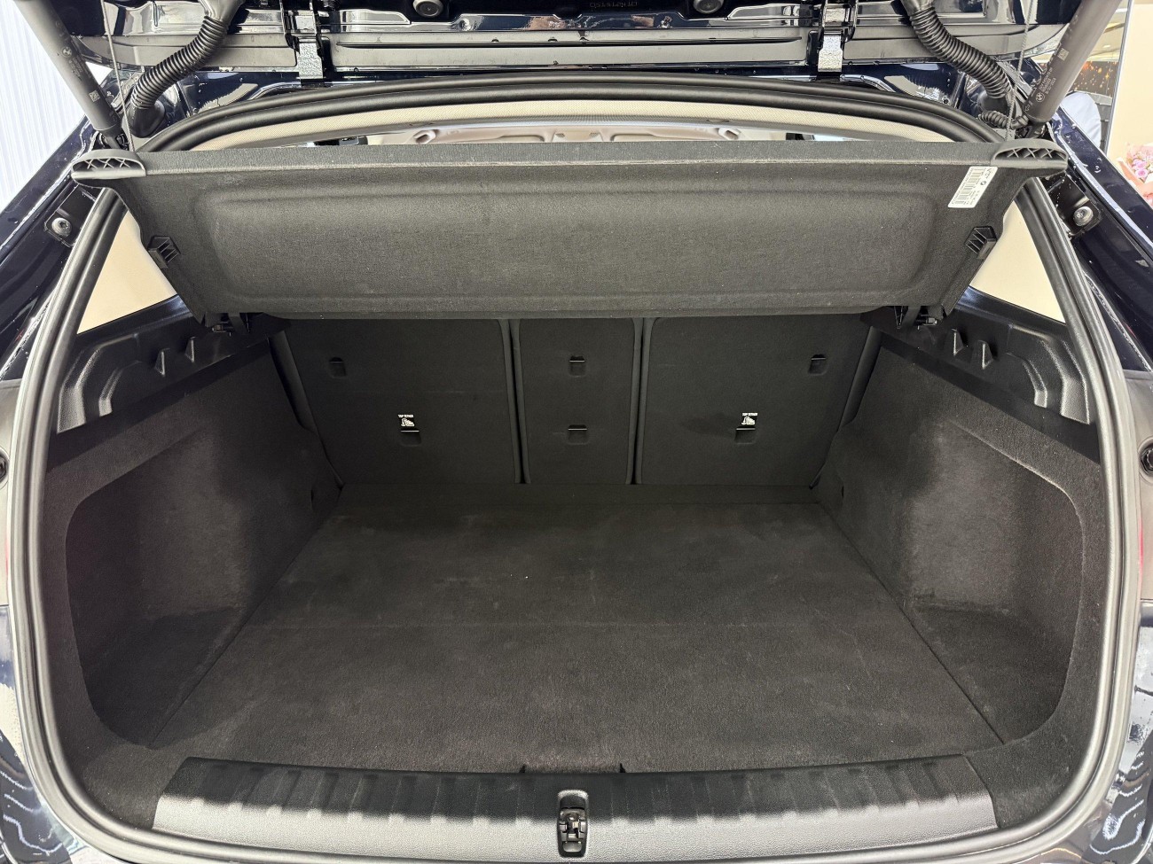BMW X1 2024