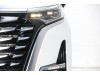 Denza D9 2025