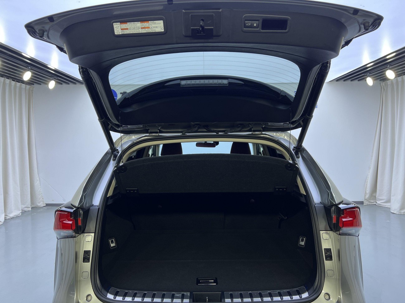 Lexus NX 300 2018