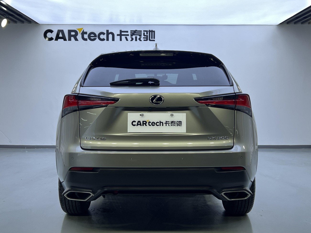 Lexus NX 300 2018