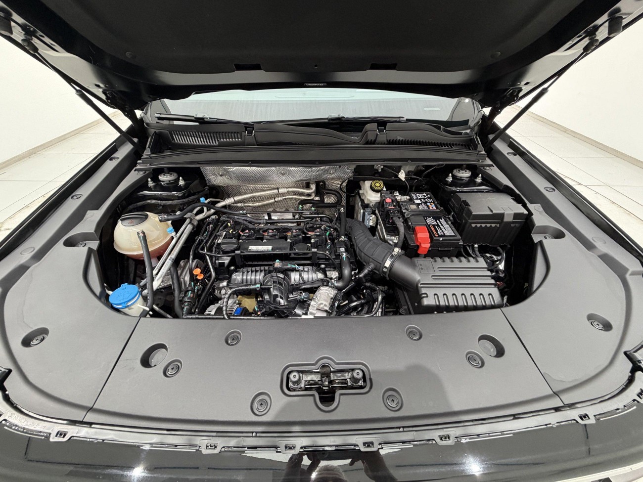 Chery 06 2024