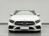 Mercedes-Benz CLS 300 2020