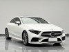 Mercedes-Benz CLS 300 2020