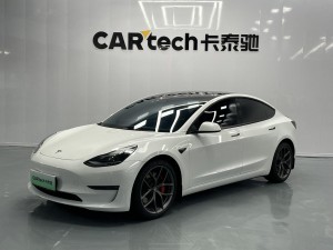 Tesla Model 3 2020