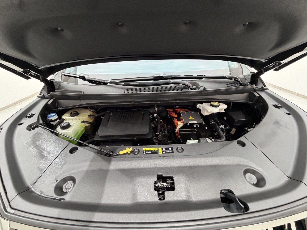 Trumpchi E9 2024