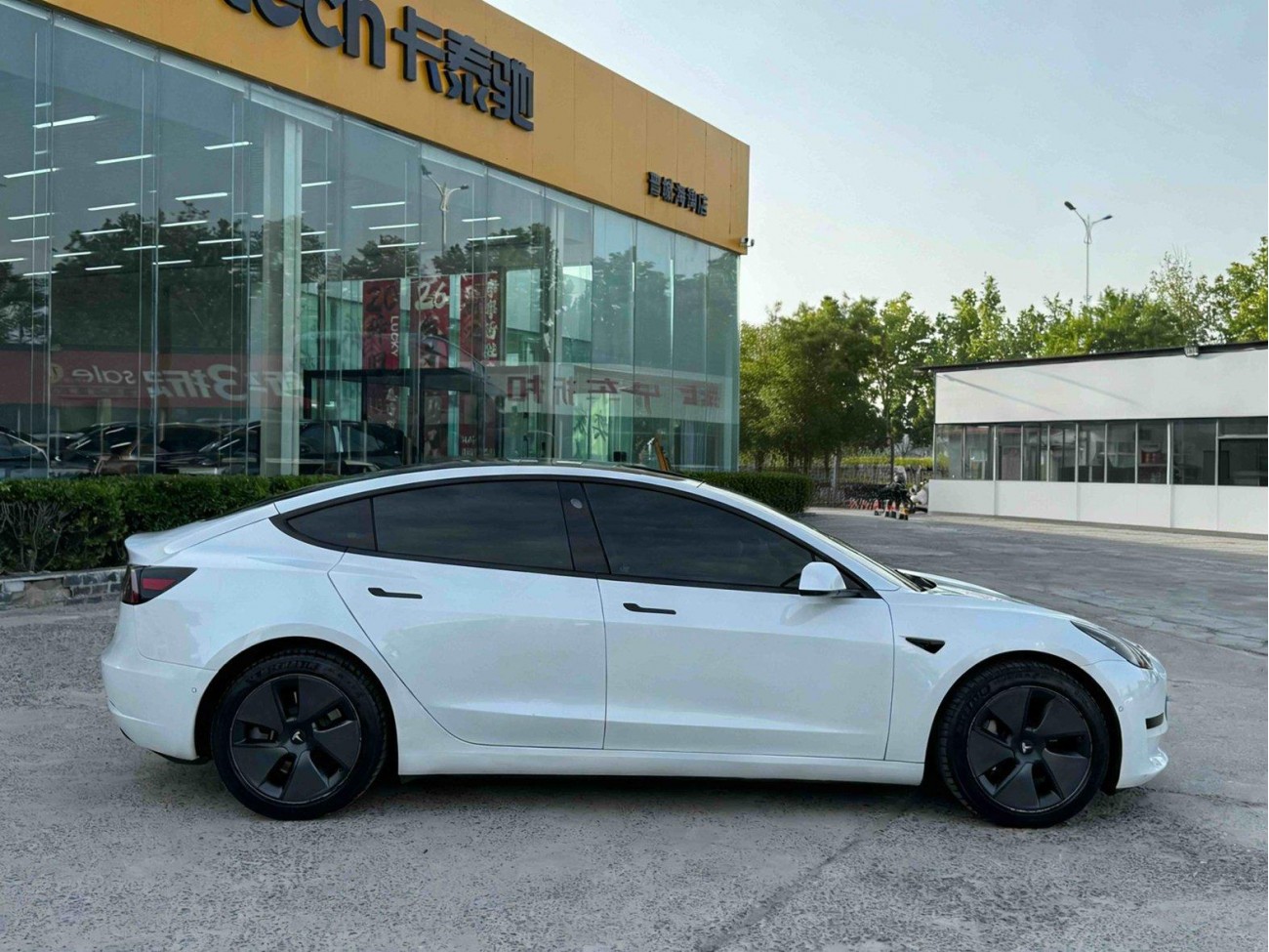 Tesla Model 3 2021
