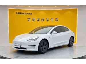 Tesla Model 3 2020