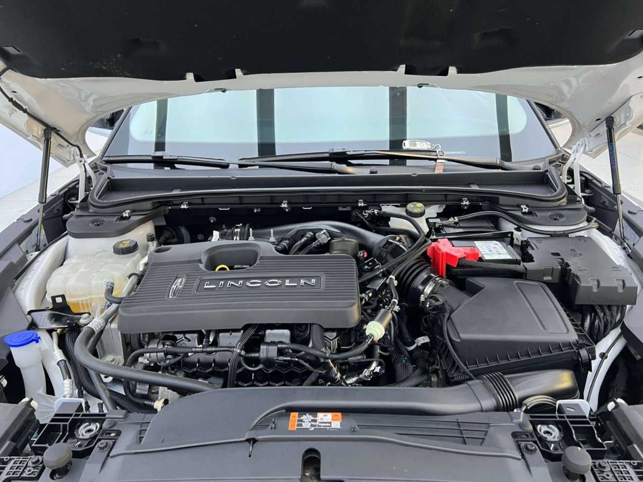 Lincoln Z 2022