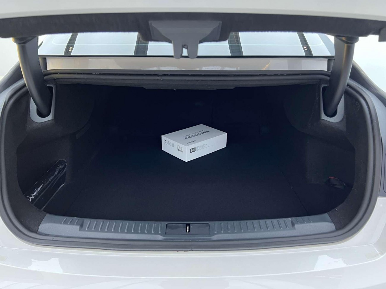 Lincoln Z 2022
