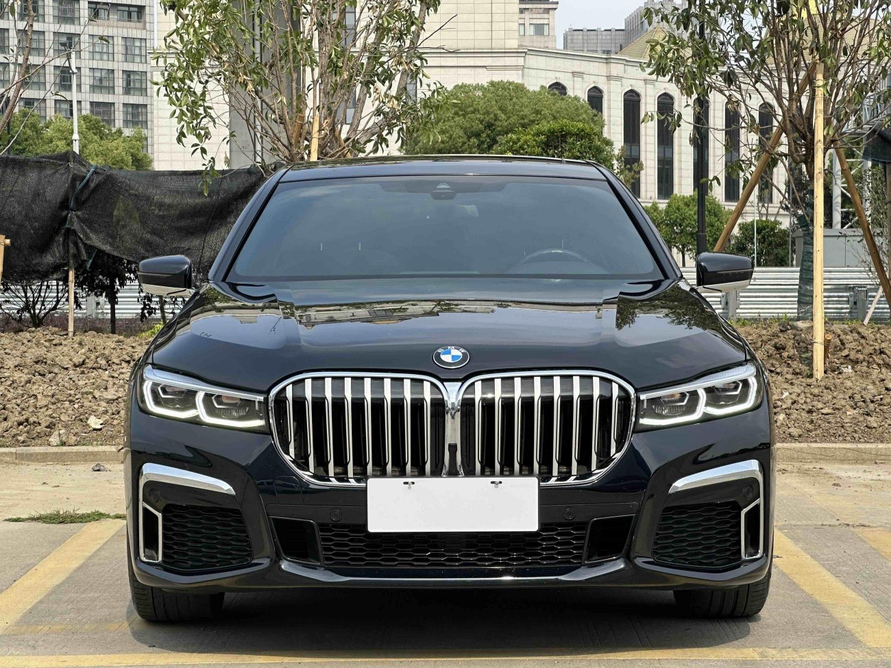BMW 730Li 2020