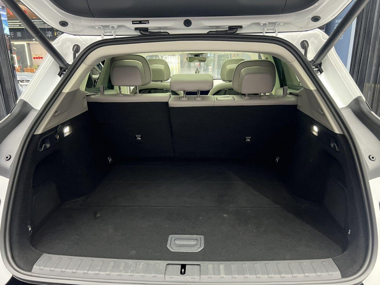 Zeekr 7X 2024