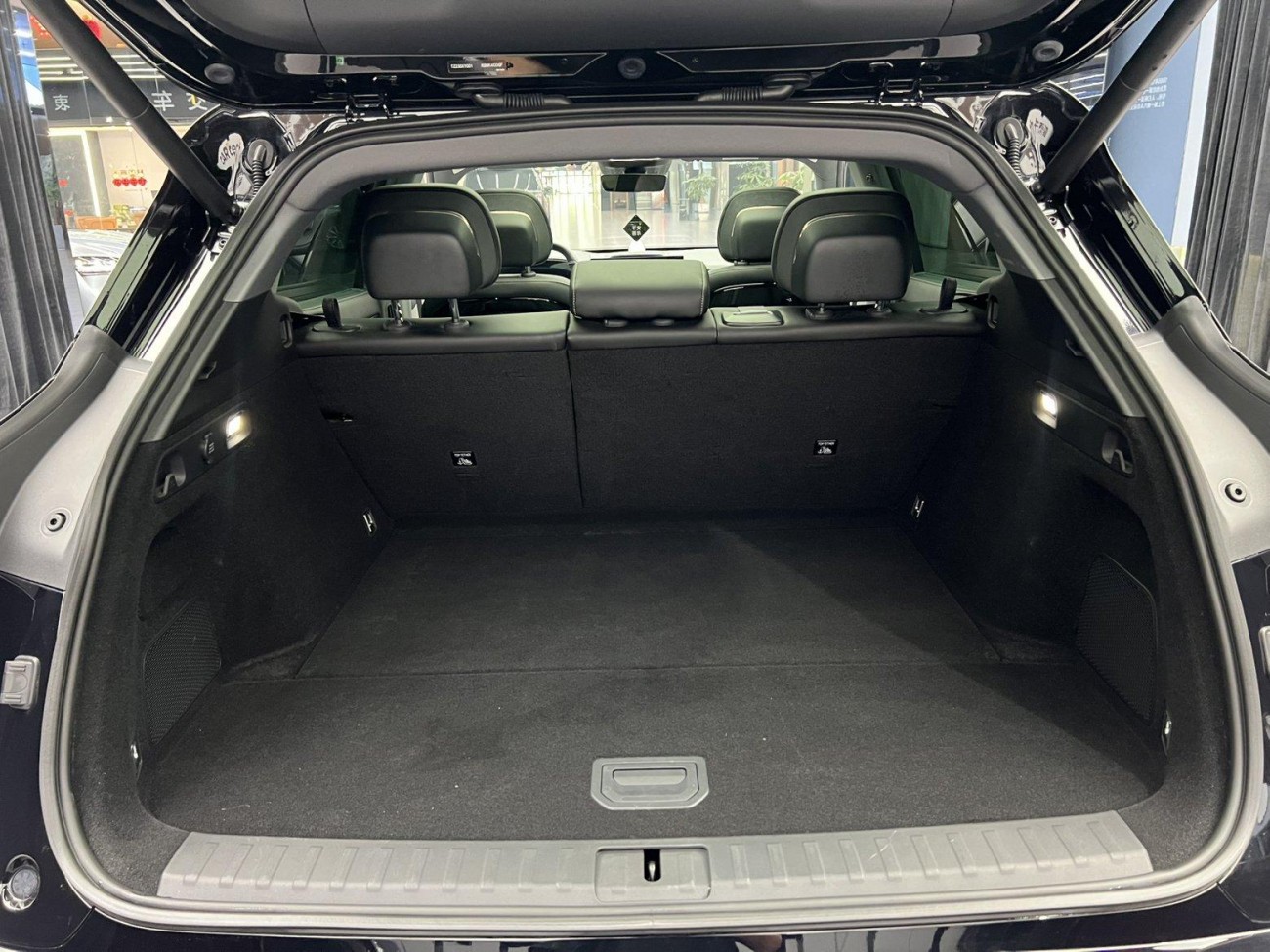 Zeekr 7X 2024