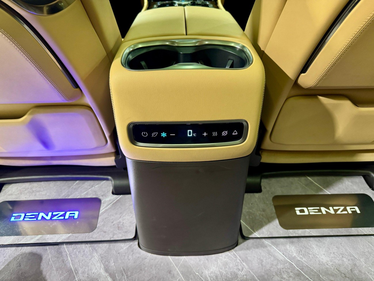 Denza D9 2025