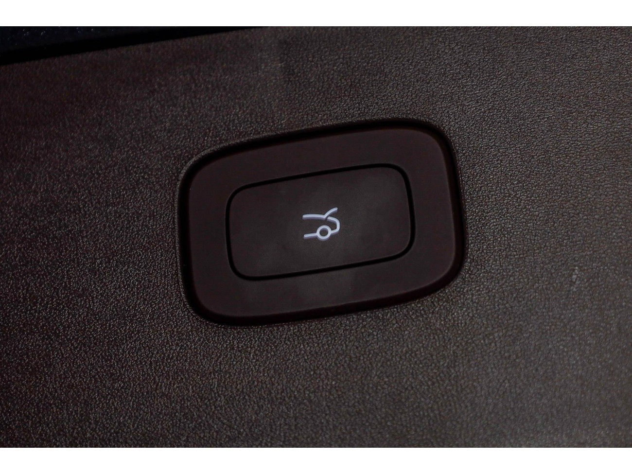 Stelato S9T 2025