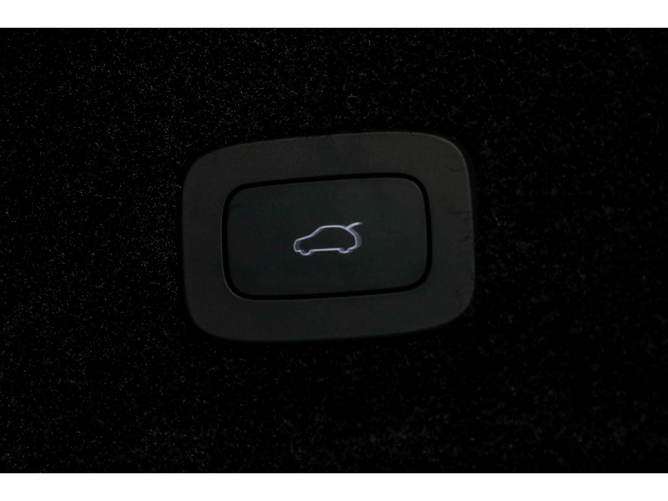 Stelato S9 2025