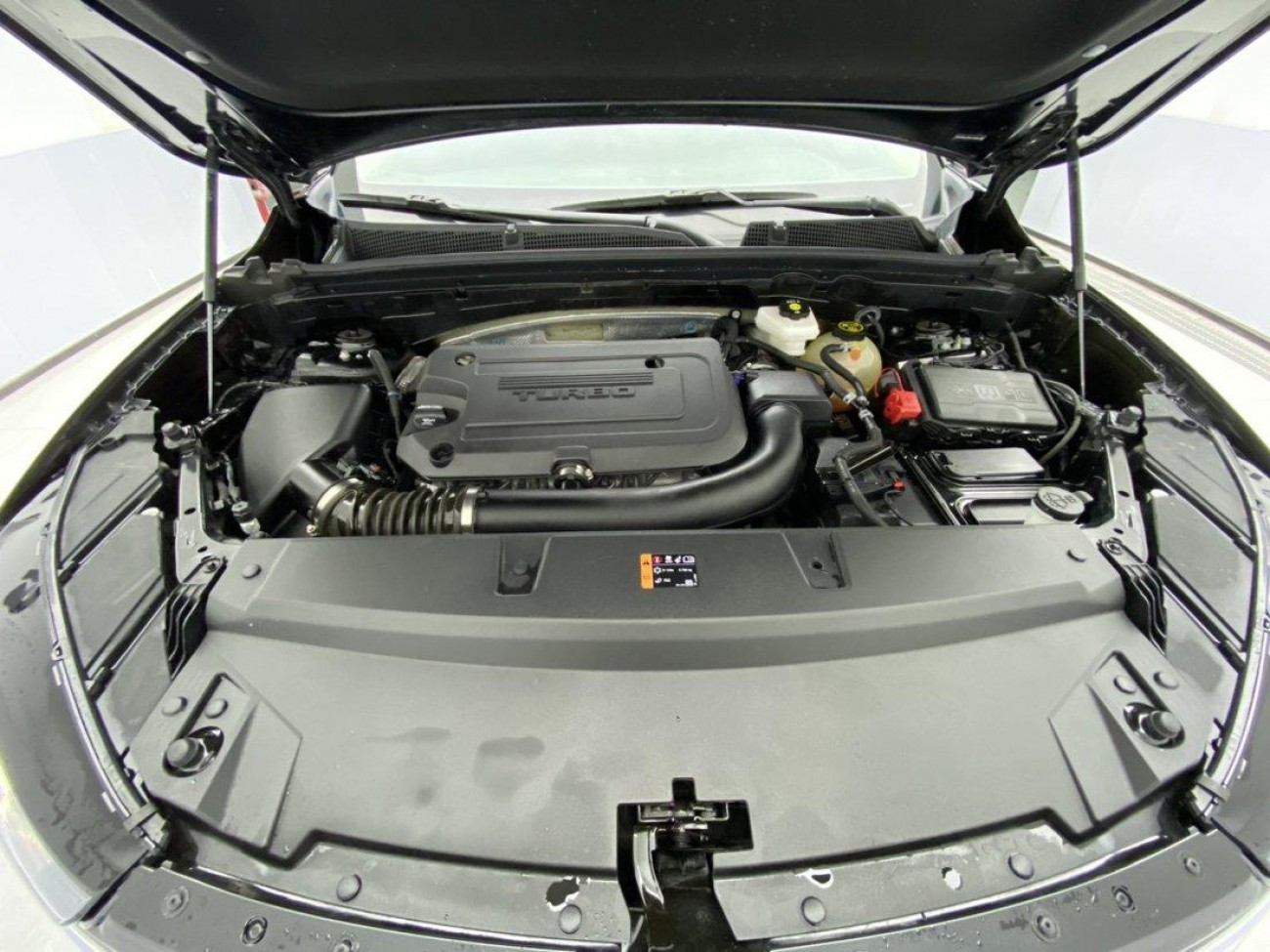 Buick Envision Plus 2023