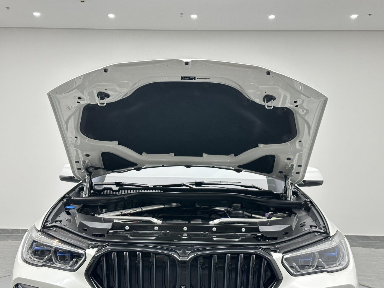 BMW X6 2023