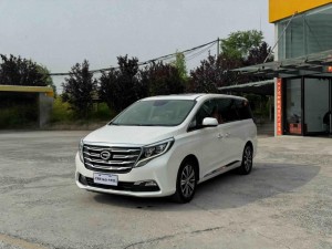 Trumpchi M8 2018