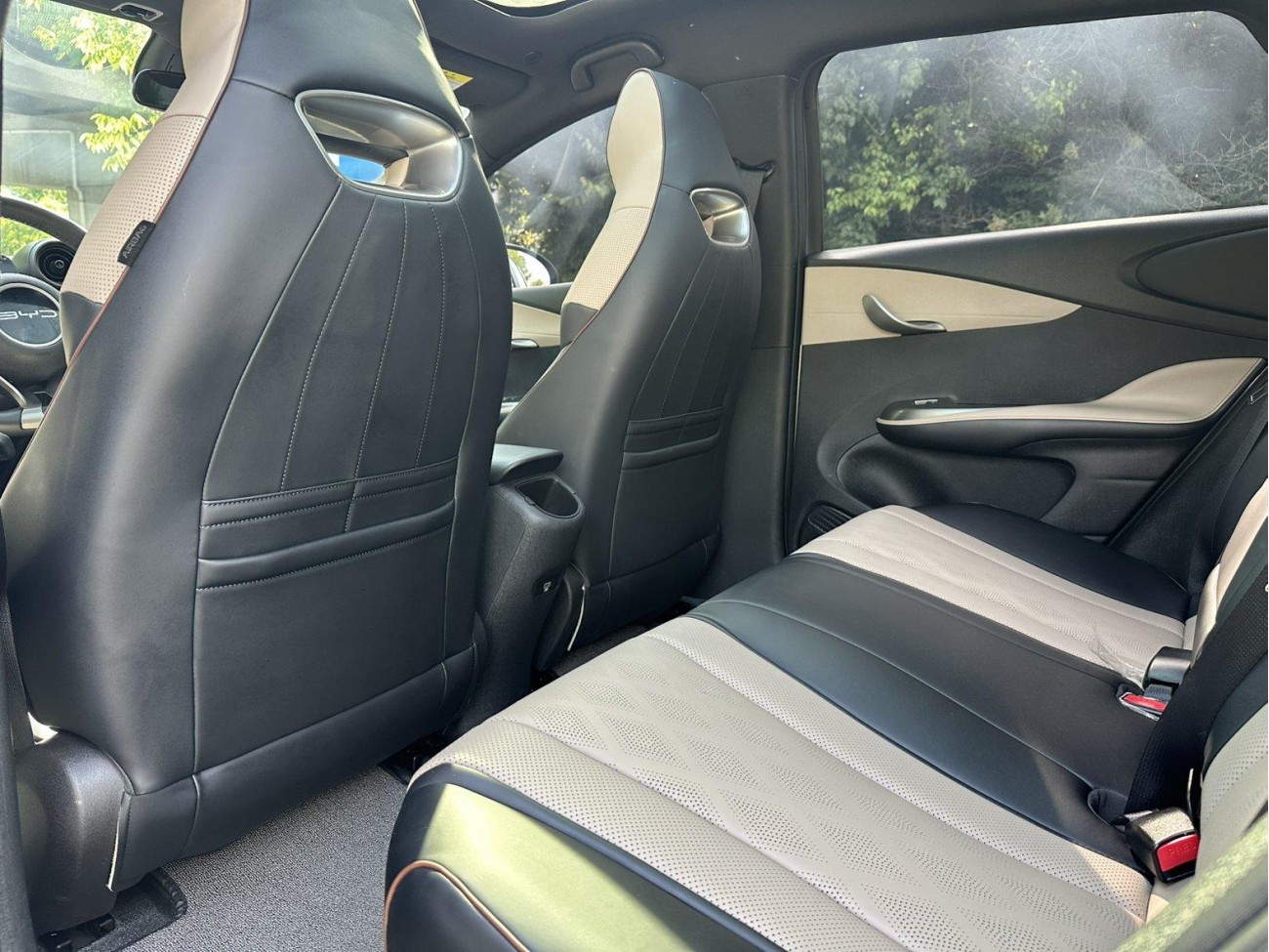 BYD Dolphin 2023
