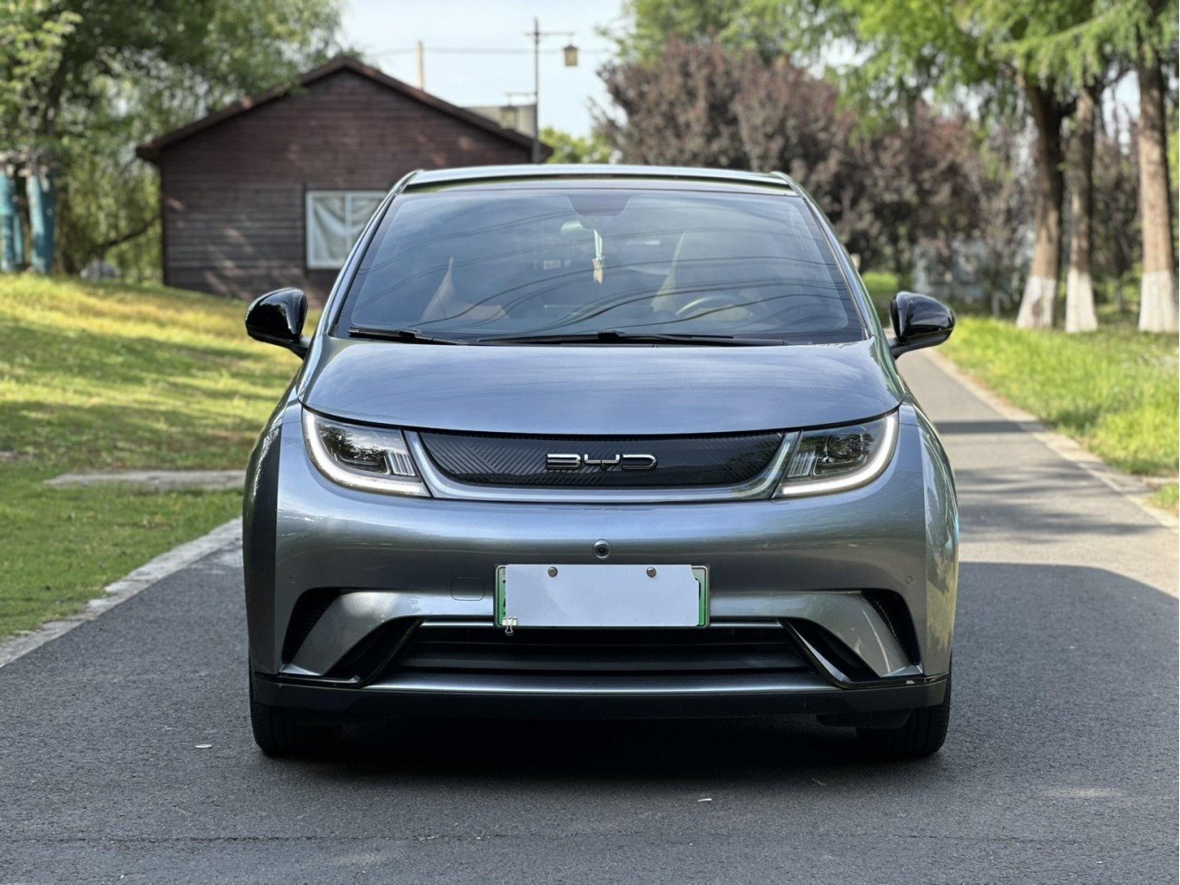 BYD Dolphin 2023