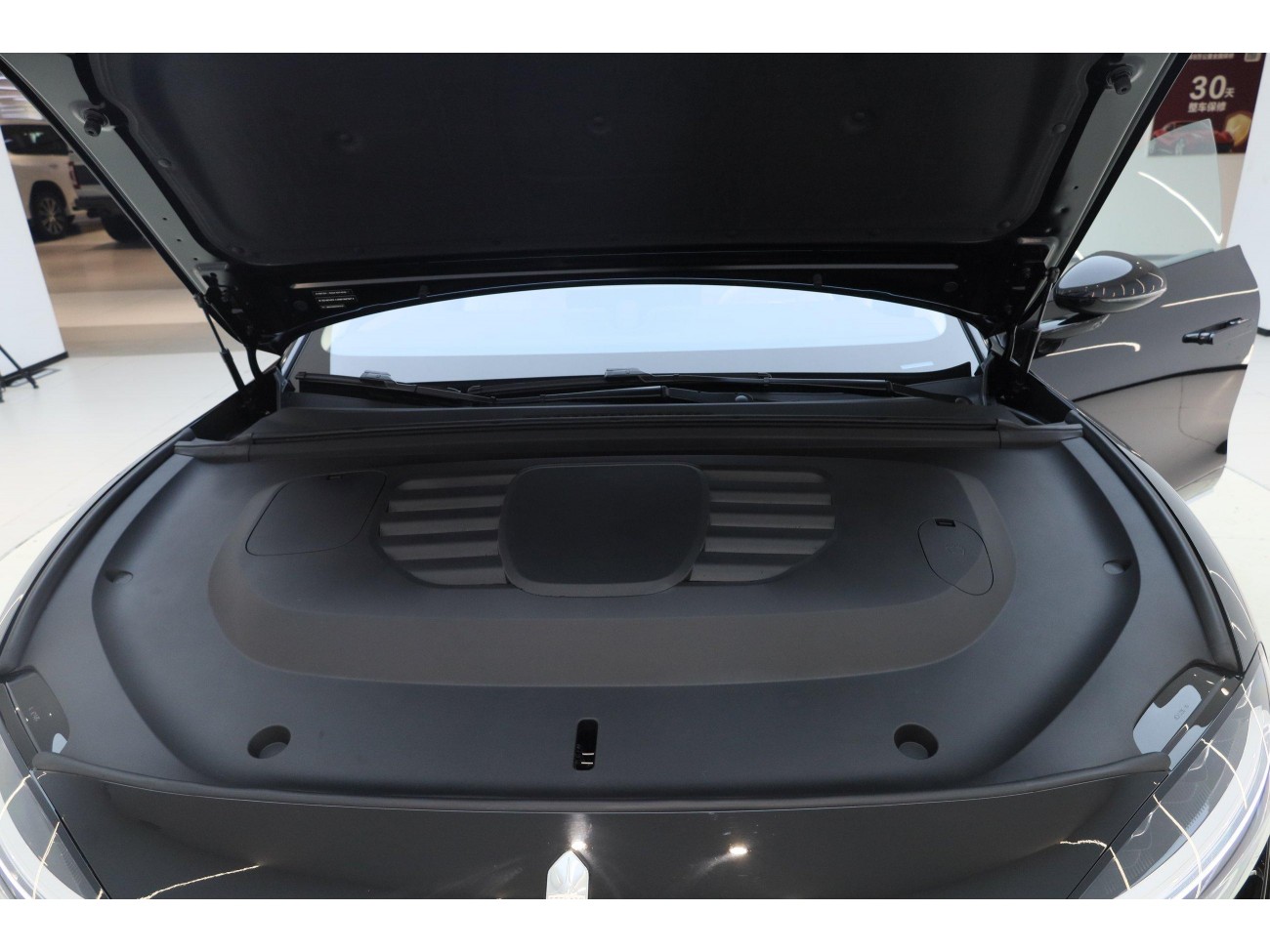 Stelato S9T 2025