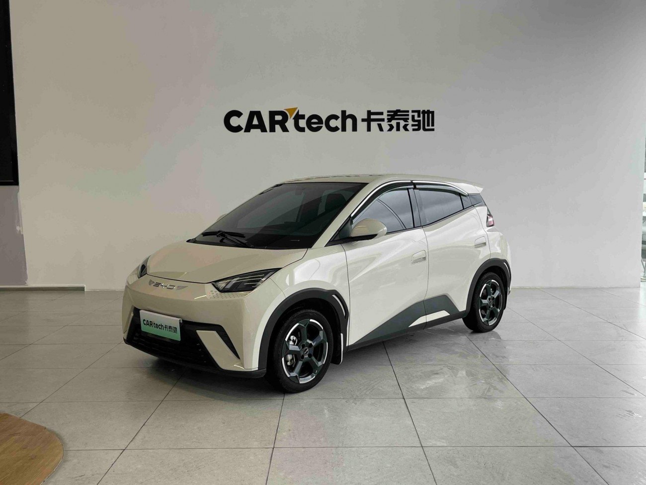 BYD Seagull 2024