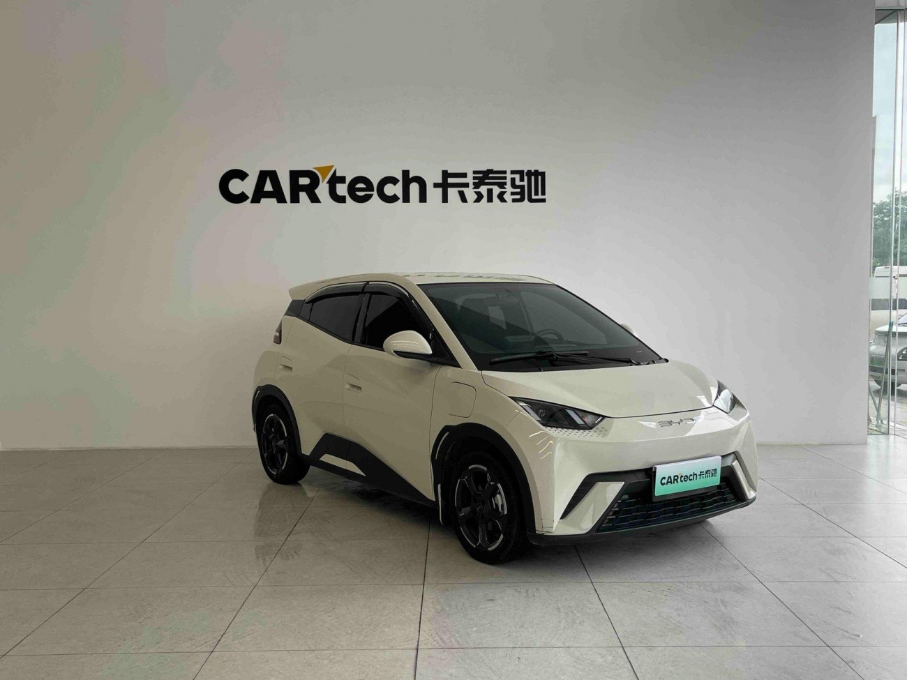 BYD Seagull 2024