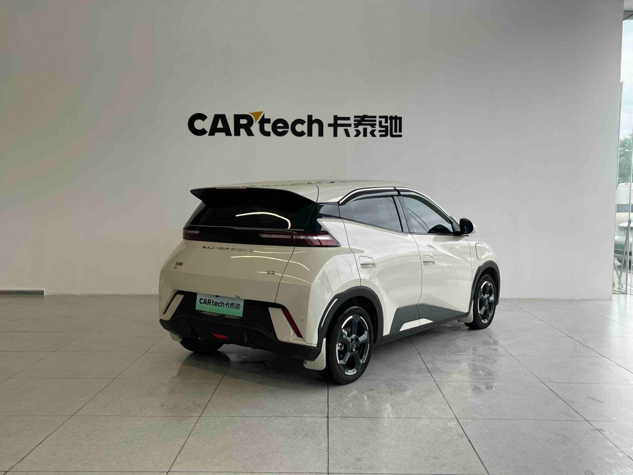 BYD Seagull 2024