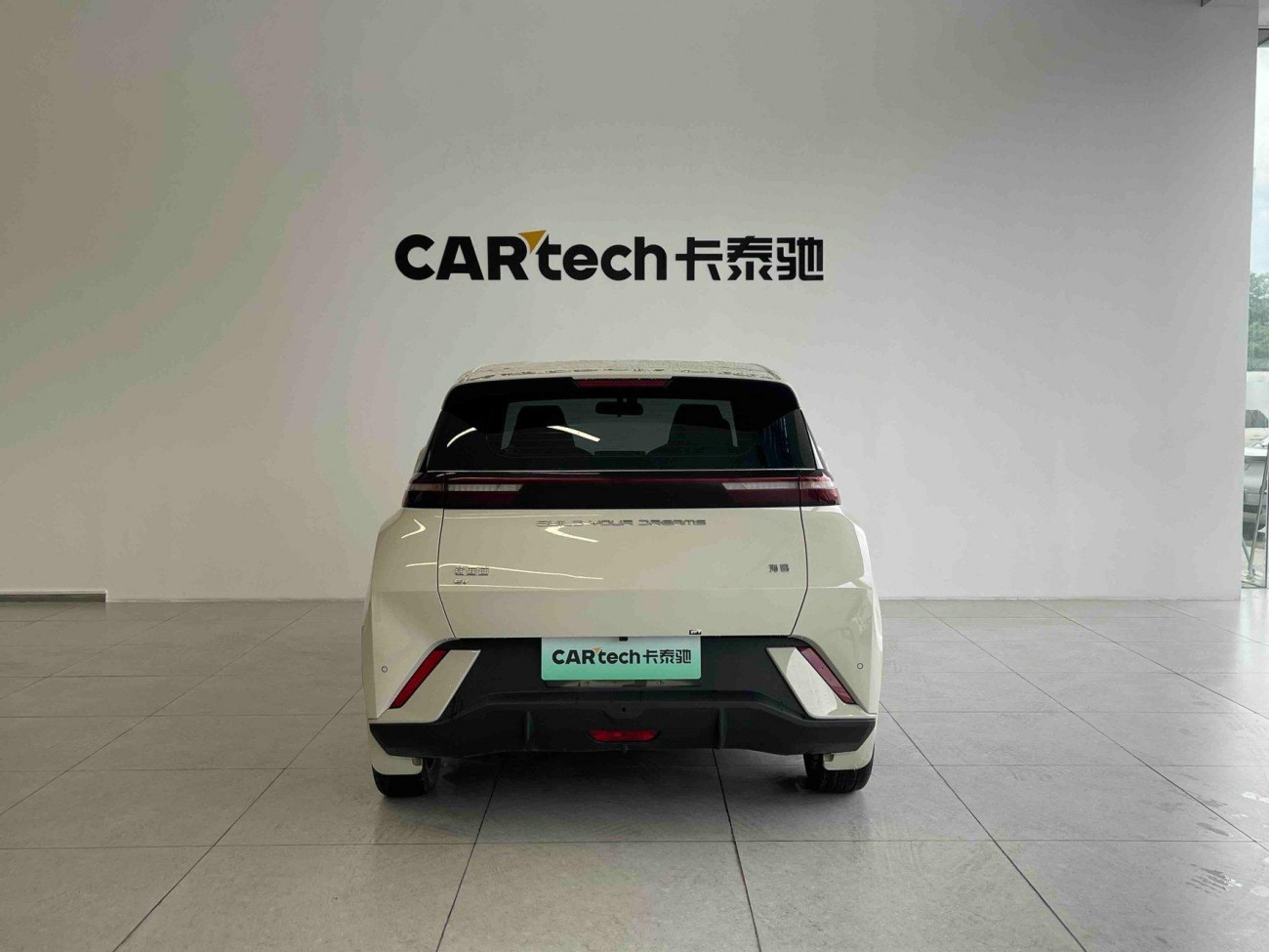 BYD Seagull 2024