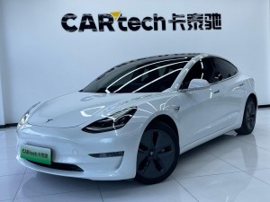 Tesla Model 3 2019