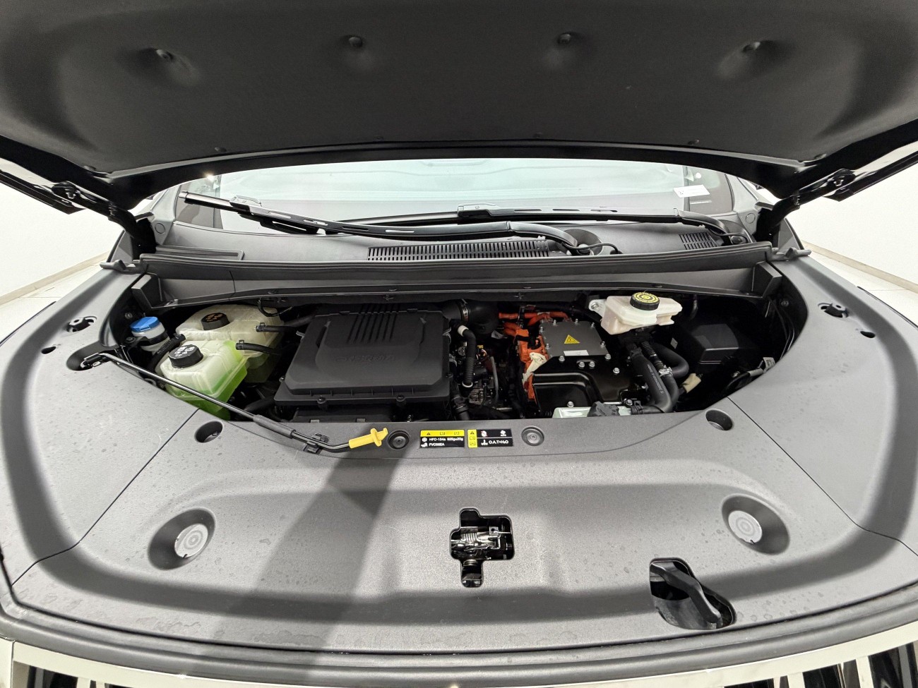 Trumpchi E9 2024