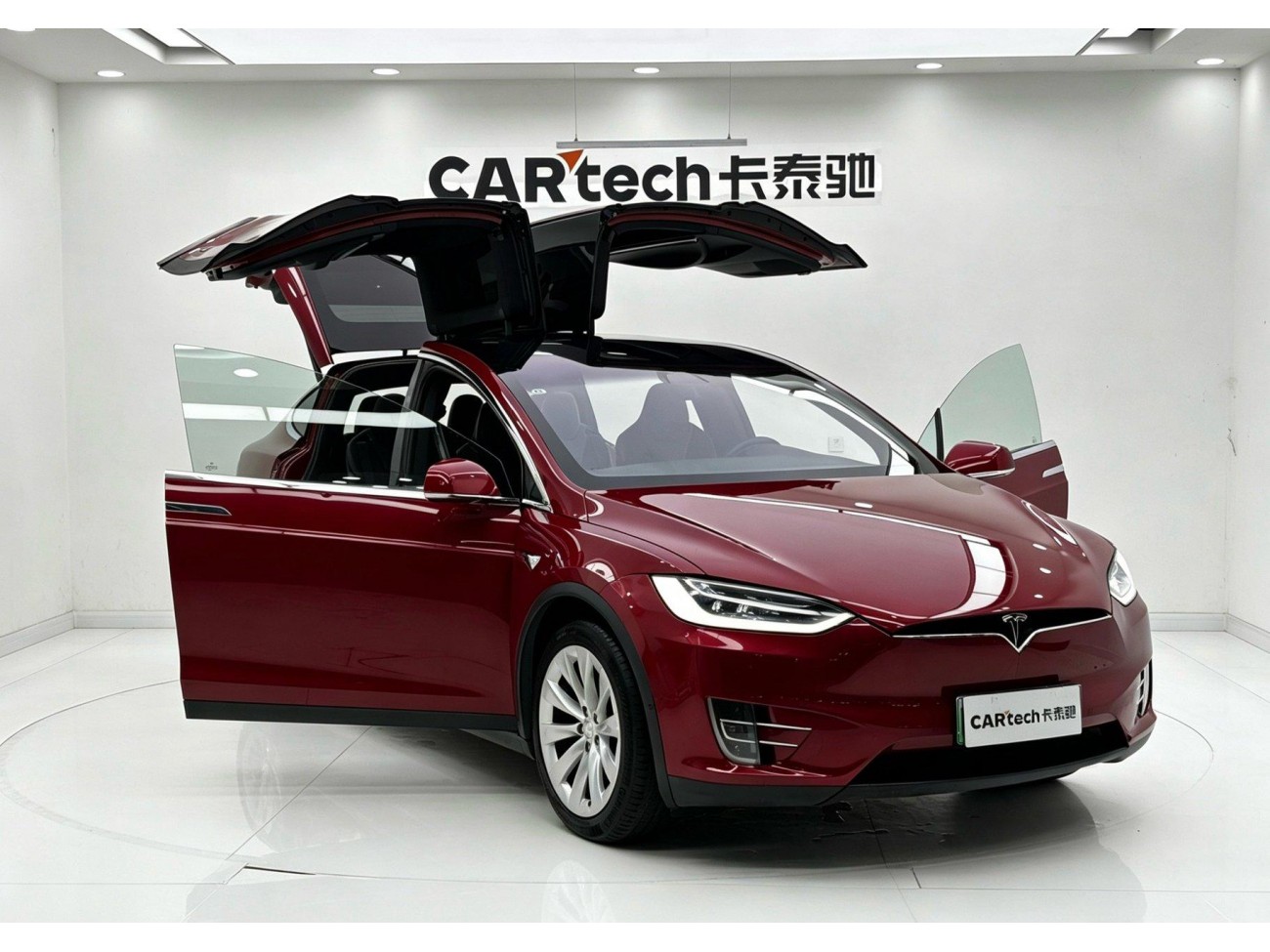 Tesla Model X 2019