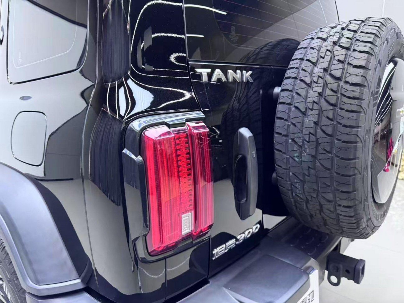 Tank 300 2024