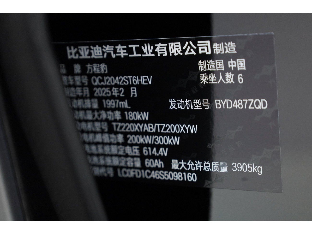 Fang Cheng Bao Bao 8 2025