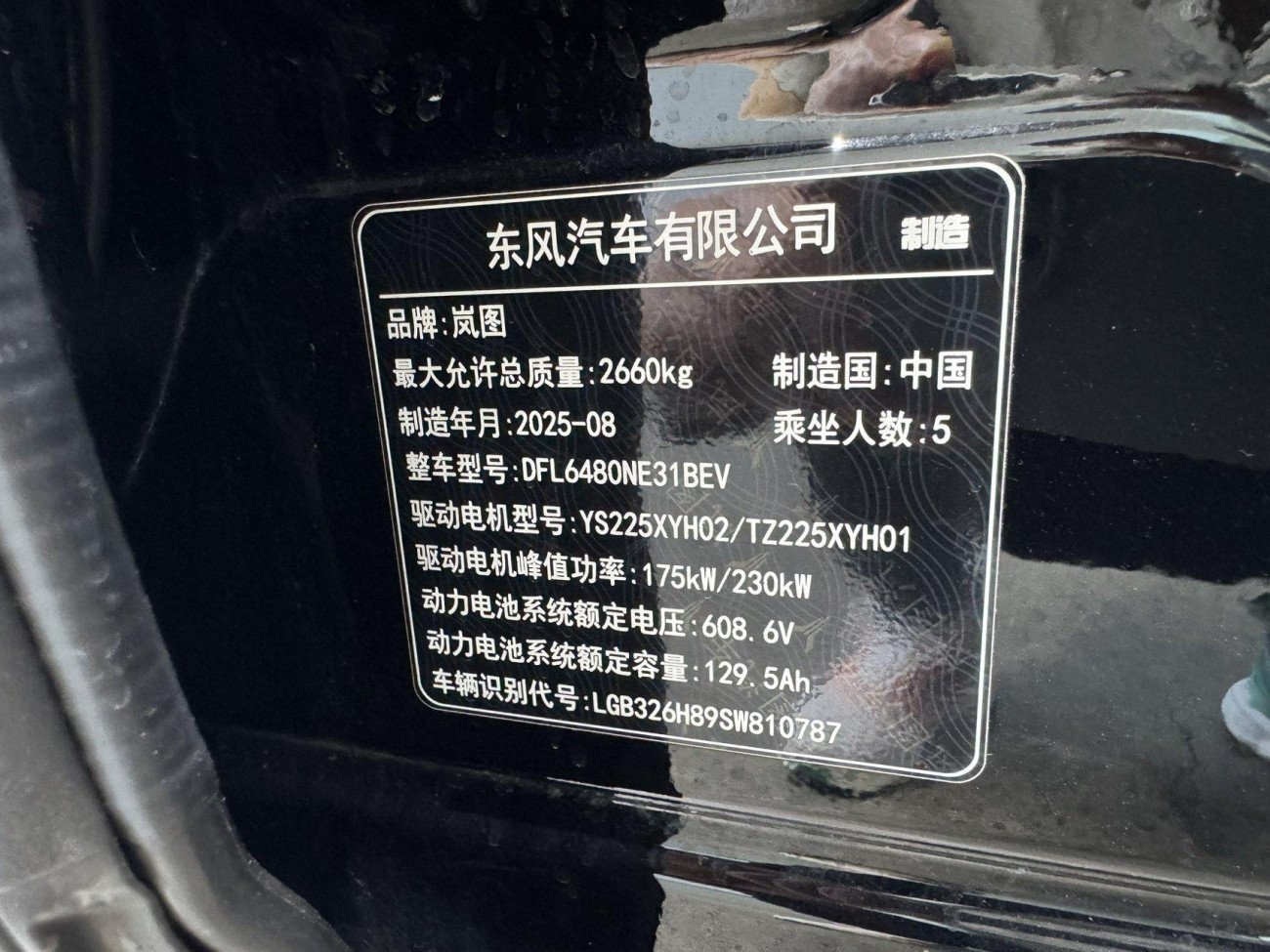 Voyah Zhiyin 2025