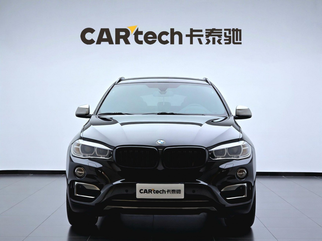 BMW X6 2018