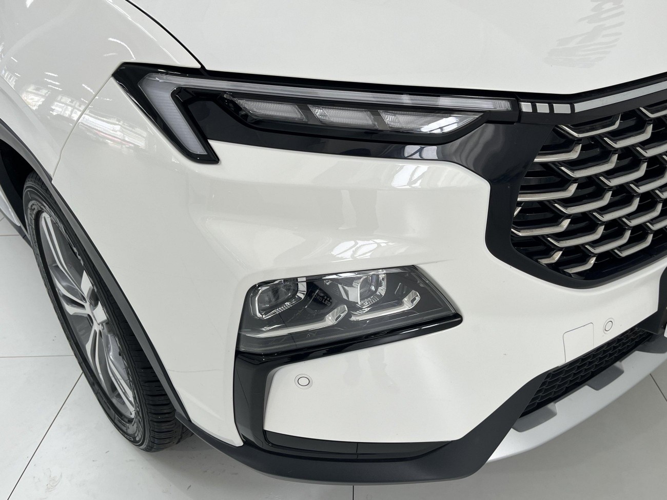 Ford Equator Sport 2024