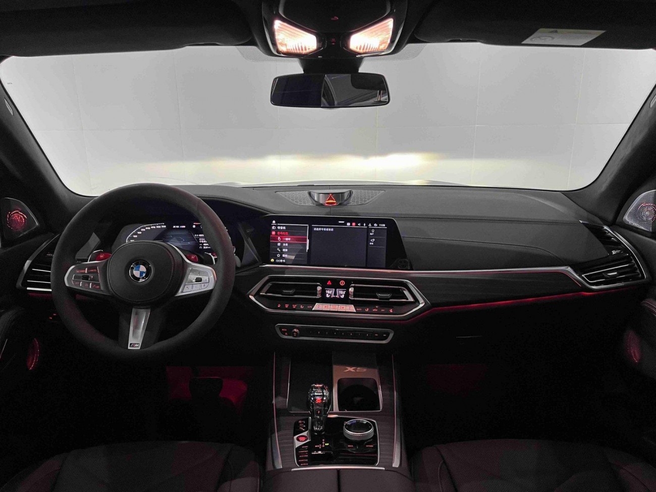 BMW X5 2023