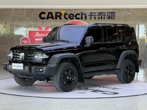 Tank 300 2025