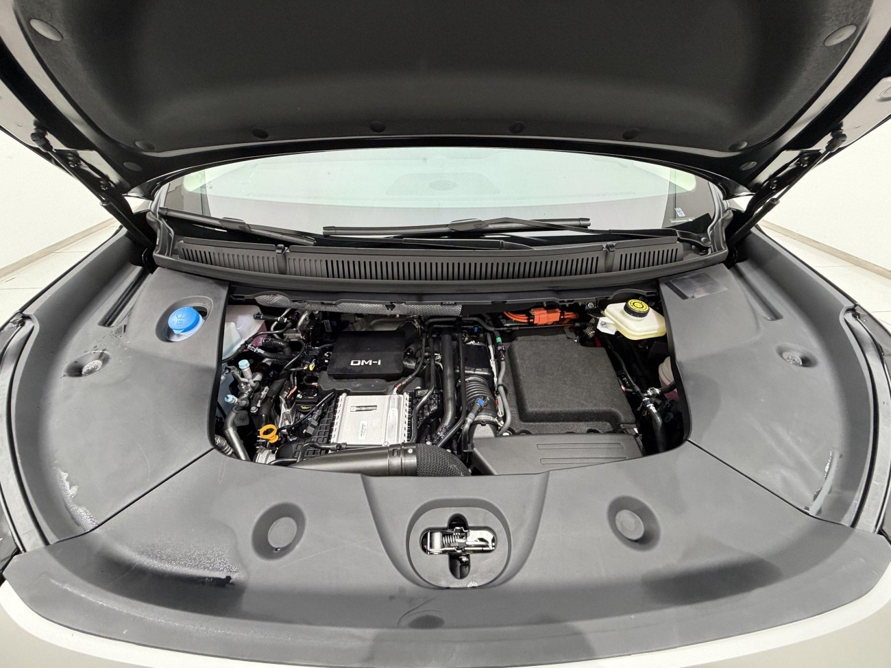 BYD M9 2025