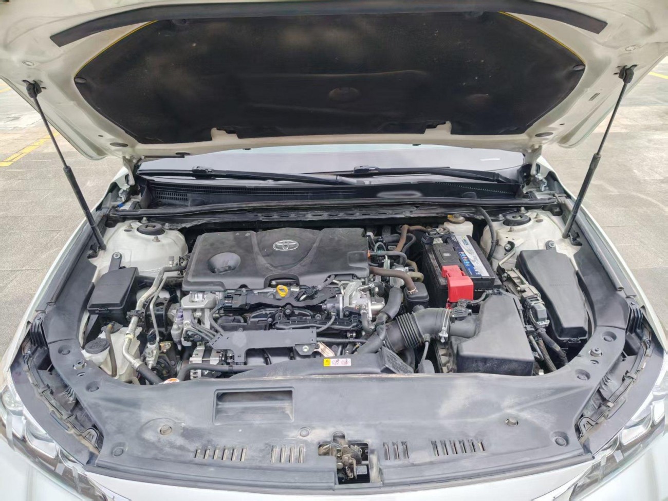 Toyota Avalon 2019