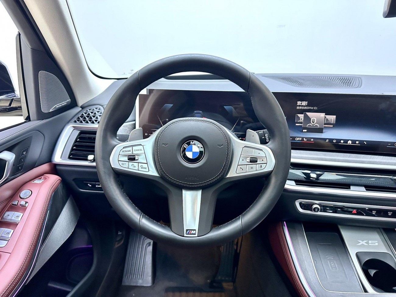 BMW X5 2024