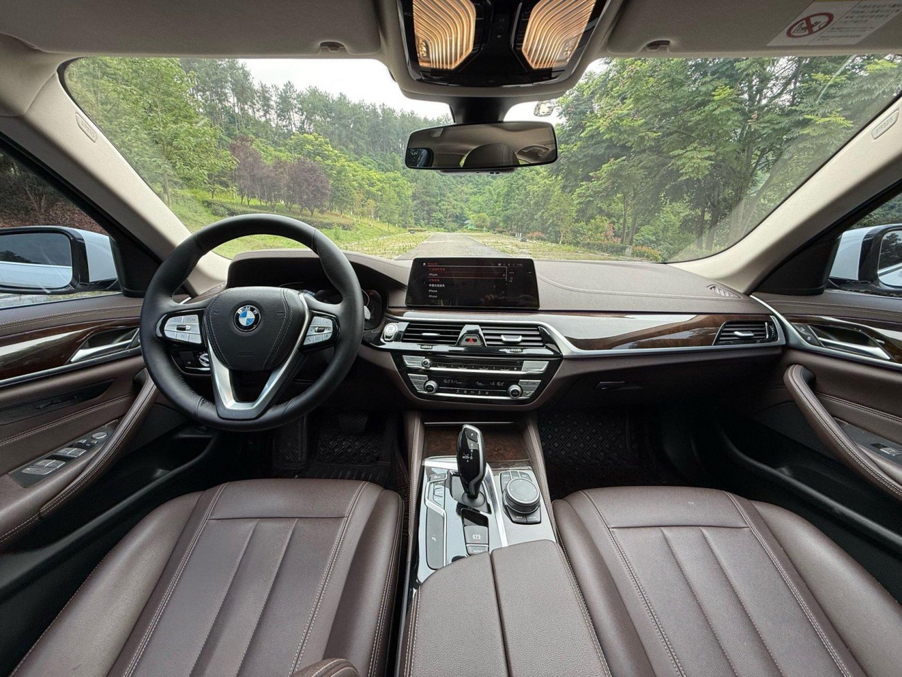 BMW 525Li 2020