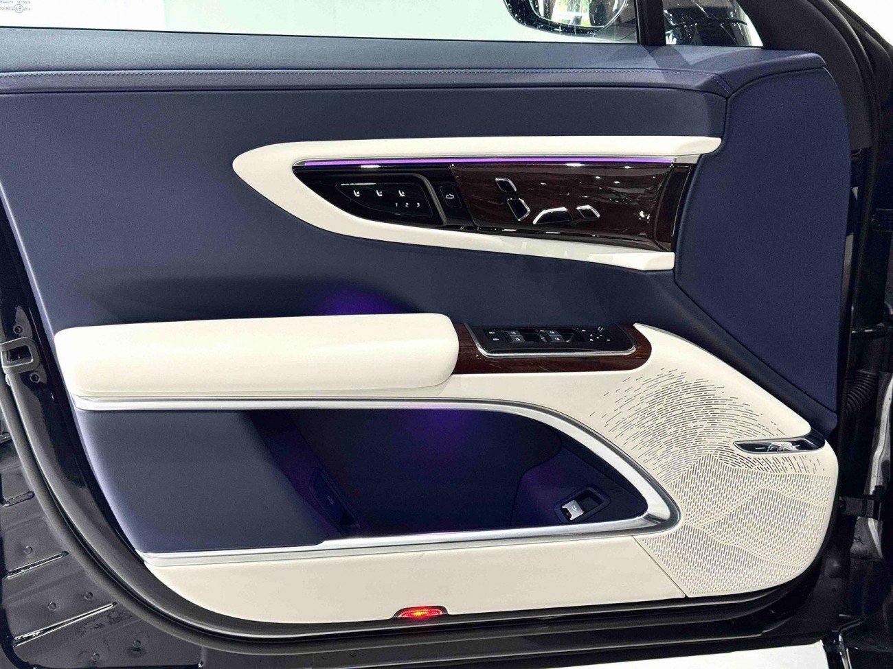 Hongqi Guoya 2024
