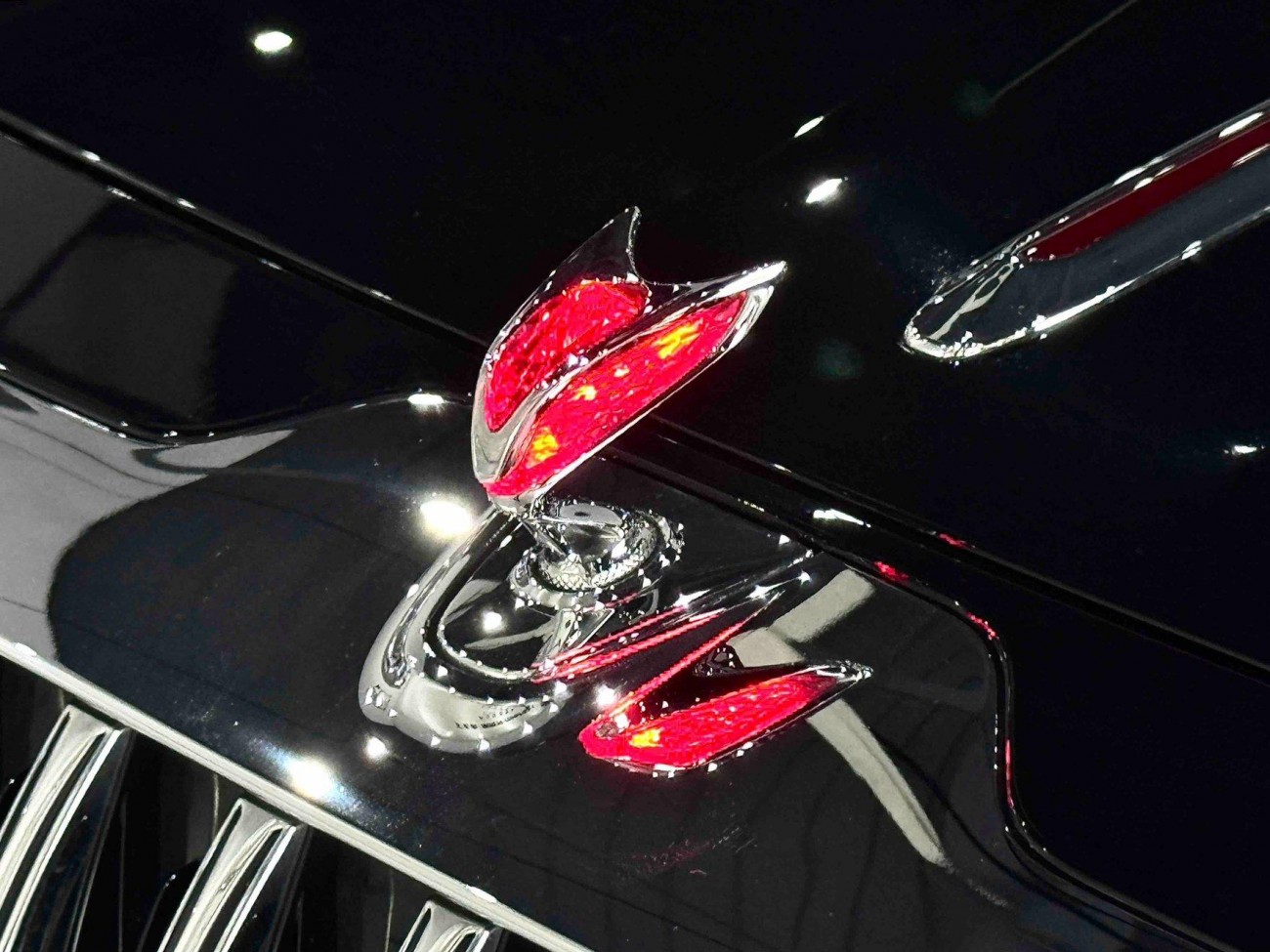 Hongqi Guoya 2024