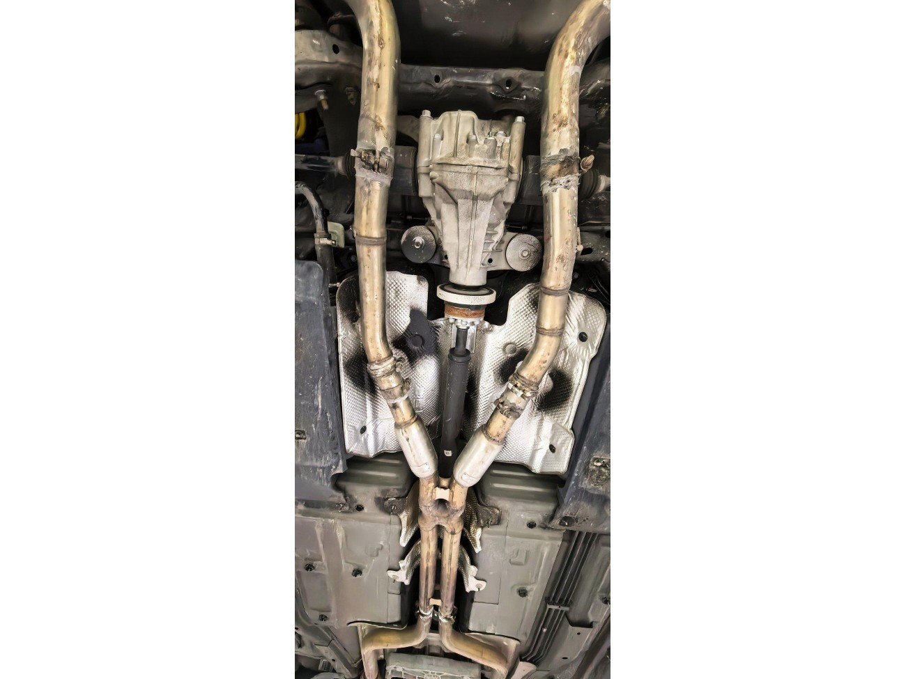Dodge Unknown 2024