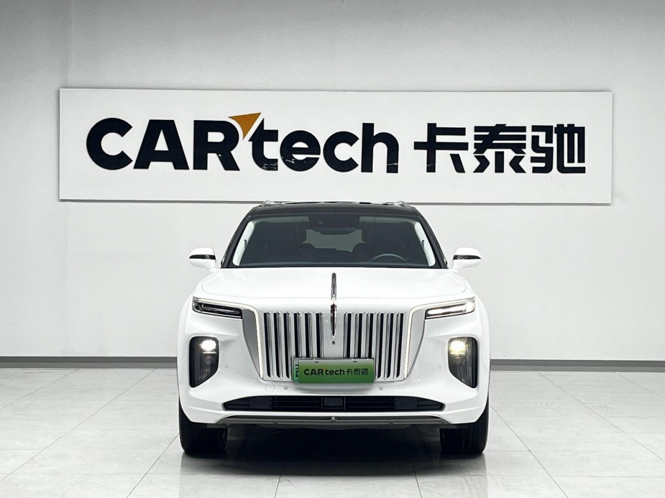 Hongqi E-HS9 2023