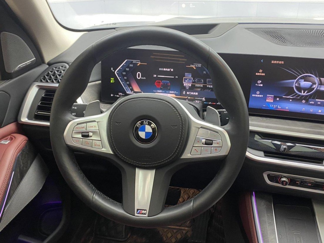 BMW X5 2024
