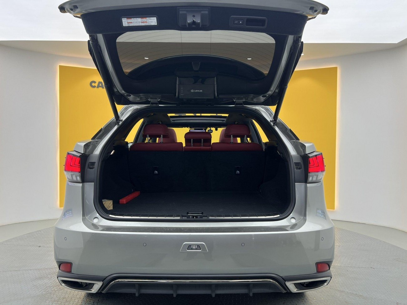Lexus RX 300 2020
